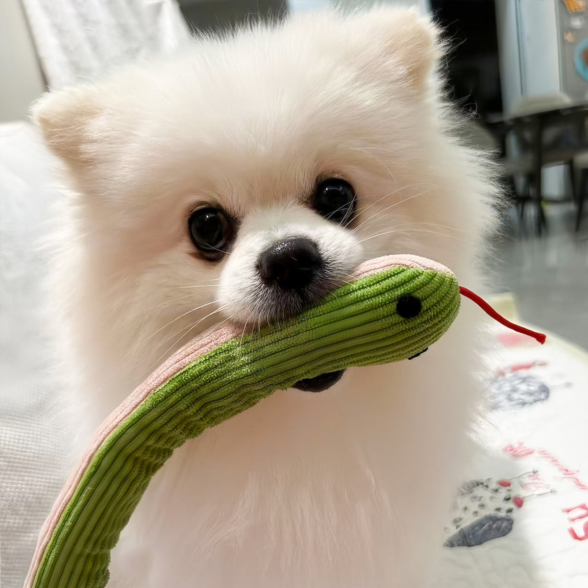 IEY®-Dogs Go Absolutely Wild for This Moving Snake Toy 🐍