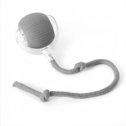 🐾Interactive Smart Chase Ball for Cats & Dogs – USB Rechargeable Automatic Rolling Teaser Toy with Speedy Tail