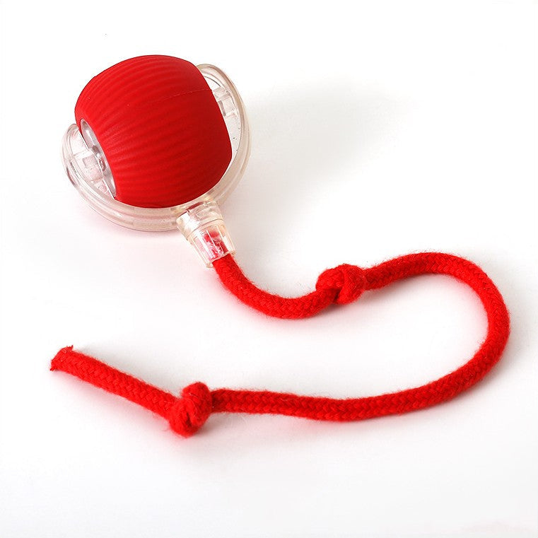 🐾Interactive Smart Chase Ball for Cats & Dogs – USB Rechargeable Automatic Rolling Teaser Toy with Speedy Tail