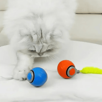 🔥Interactive Electric Rolling Ball with Teasing Tail