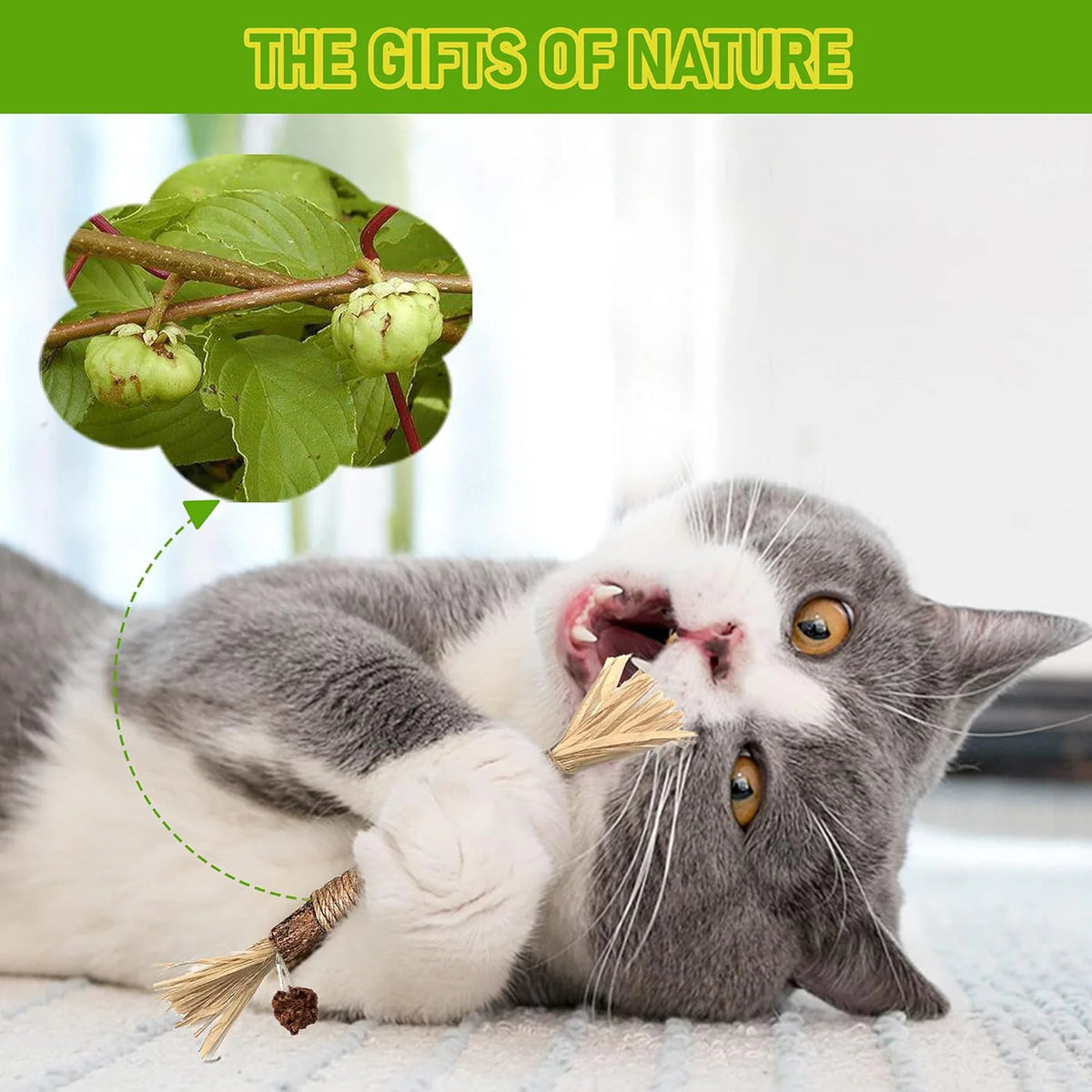 Mresio®🔥😻 Cat Toys Chew Rope & Silvervine Sticks for Bored Indoor Adult Cats