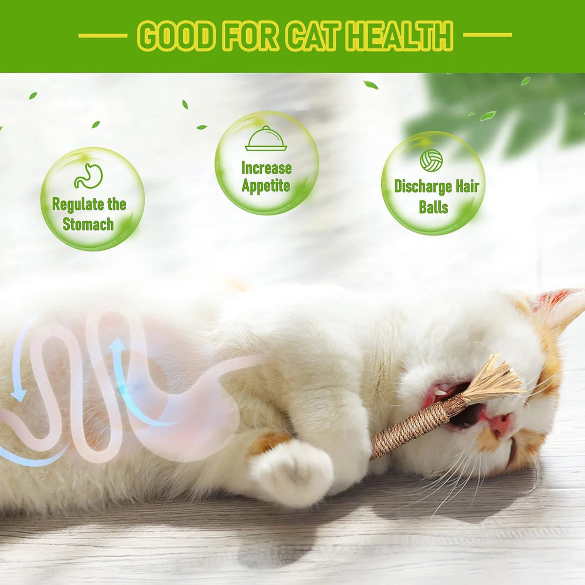 Mresio®🔥😻 Cat Toys Chew Rope & Silvervine Sticks for Bored Indoor Adult Cats