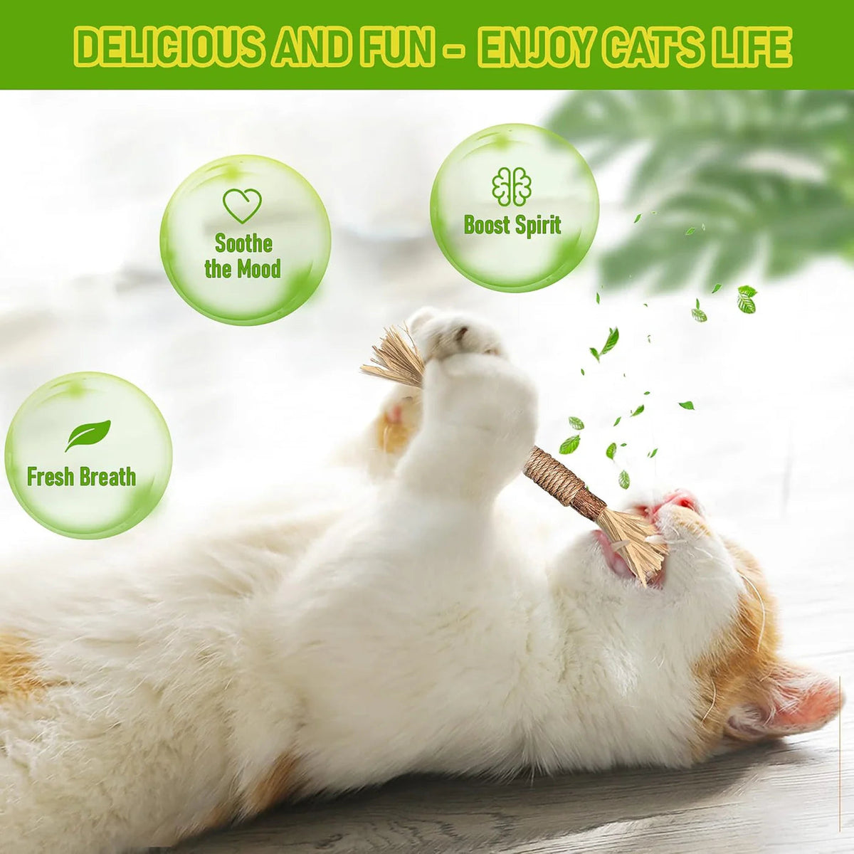 🔥😻Natural Silvervine Chew Sticks – Organic Dental Treats for Cats
