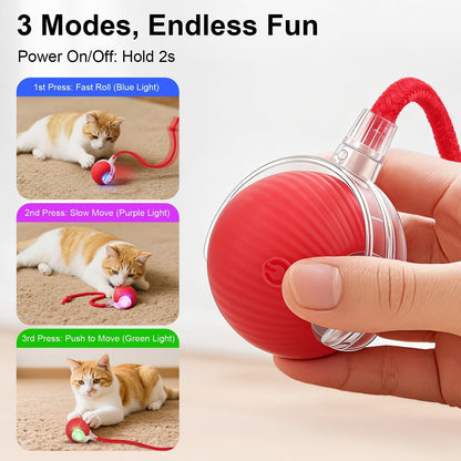 🐾Interactive Smart Chase Ball for Cats & Dogs – USB Rechargeable Automatic Rolling Teaser Toy with Speedy Tail